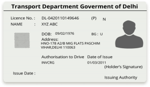 fl driving record check